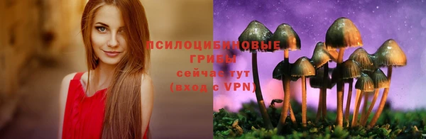 прущий лед Володарск