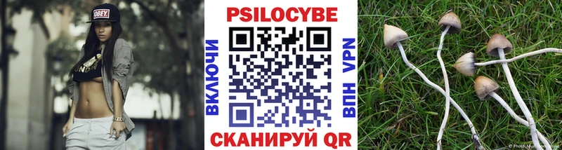 Галлюциногенные грибы Psilocybe  Купить  Камышлов 